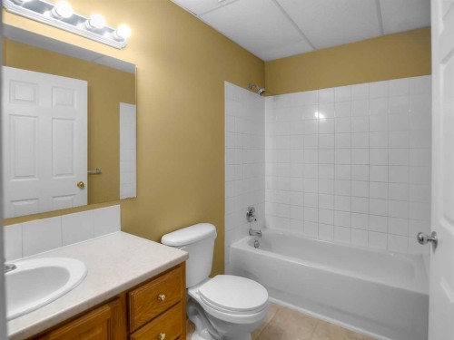 109 Duckering Close, Red Deer, AB - Indoor Photo Showing Bathroom