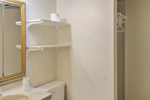 572 West Crescent, Forestburg, AB - Indoor Photo Showing Bathroom