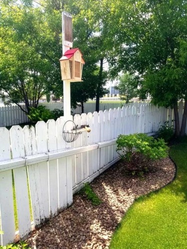 44 Dale Close, Red Deer, AB - Outdoor