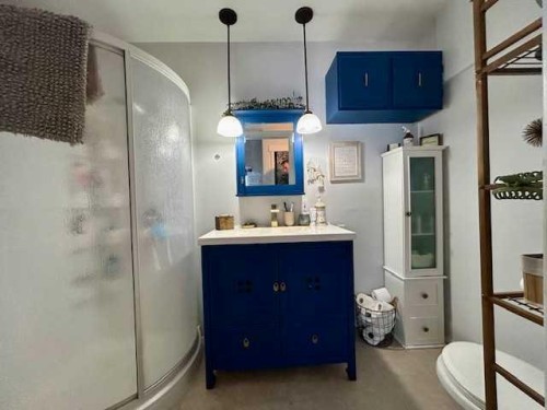 5008 54Th Ave, Bashaw, AB - Indoor Photo Showing Bathroom