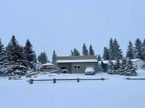 5008 54Th Ave, Bashaw, AB - Outdoor