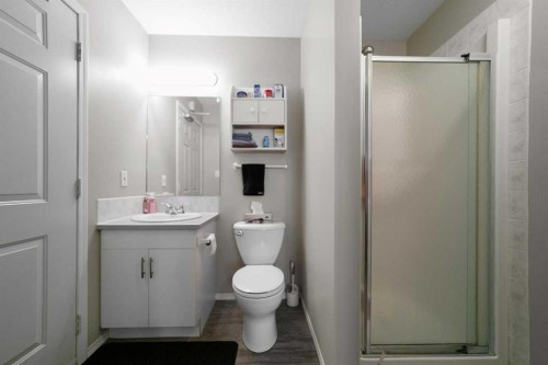5213B 57 Street, Camrose, AB - Indoor Photo Showing Bathroom