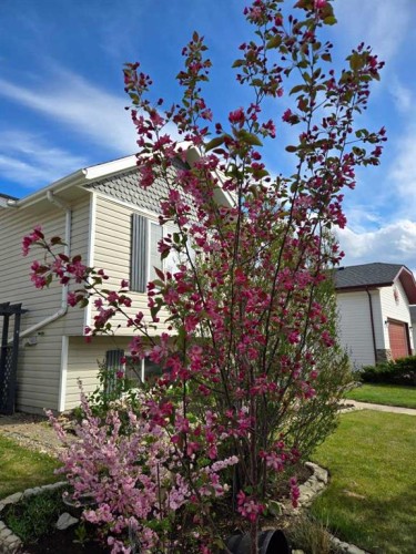 85 Kendrew Drive, Red Deer, AB - Outdoor