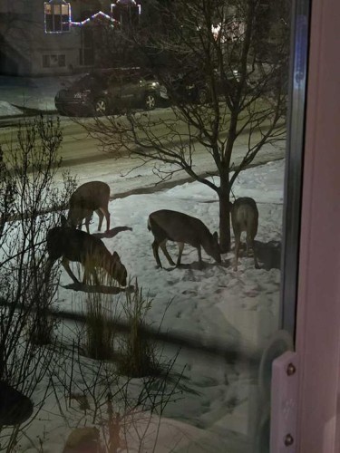 85 Kendrew Drive, Red Deer, AB - Outdoor