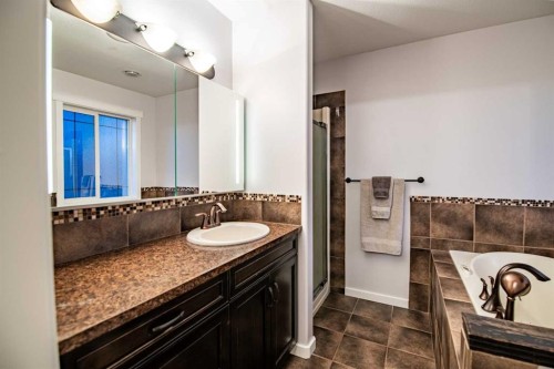 42 Landry Bend, Red Deer, AB - Indoor Photo Showing Bathroom