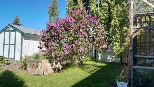 109 Kingston Drive, Red Deer, AB - Outdoor