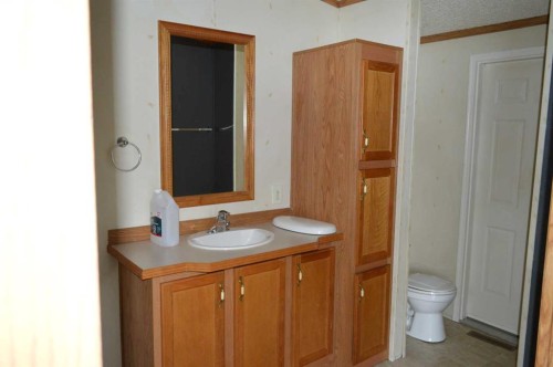 21 Sifton Crescent, Lougheed, AB - Indoor Photo Showing Bathroom