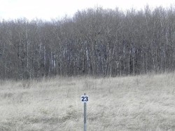 22-420069 Range Road 284  Rural Ponoka County, AB T4J 1R3