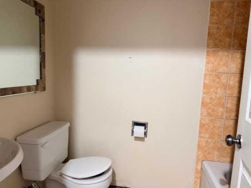 14 Eagle Road, Lacombe, AB - Indoor Photo Showing Bathroom