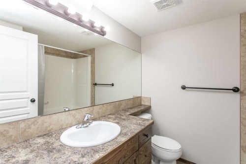 92 Iron Wolf Boulevard, Lacombe, AB - Indoor Photo Showing Bathroom