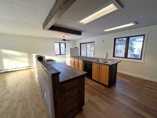 4913 48 Avenue, Forestburg, AB - Indoor Photo Showing Kitchen With Double Sink