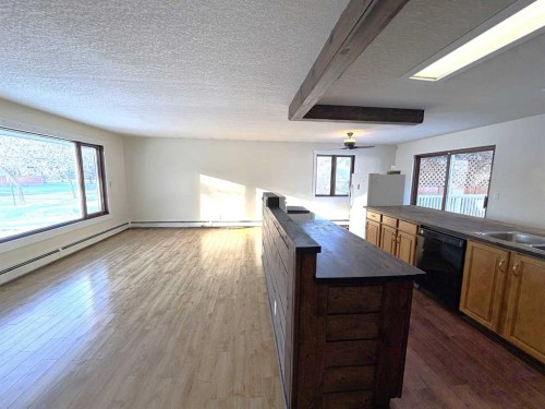 4913 48 Avenue, Forestburg, AB - Indoor Photo Showing Kitchen