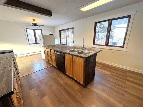 4913 48 Avenue, Forestburg, AB - Indoor Photo Showing Kitchen With Double Sink
