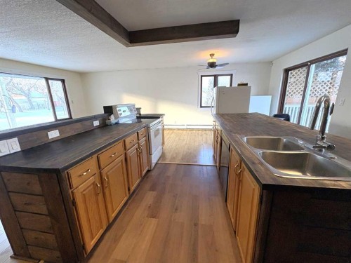 4913 48 Avenue, Forestburg, AB - Indoor Photo Showing Kitchen With Double Sink
