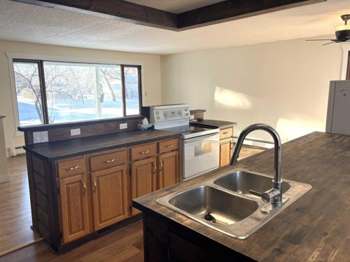 4913 48 Avenue, Forestburg, AB - Indoor Photo Showing Kitchen With Double Sink