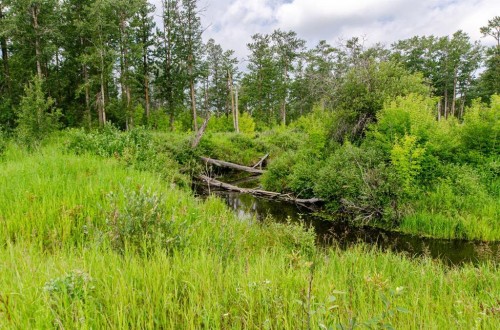 40518 Highway 821, Tees, AB 