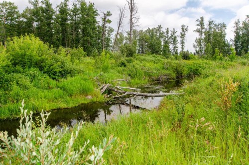 40518 Highway 821, Tees, AB 