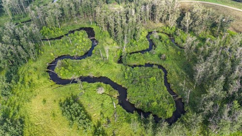 40518 Highway 821, Tees, AB 