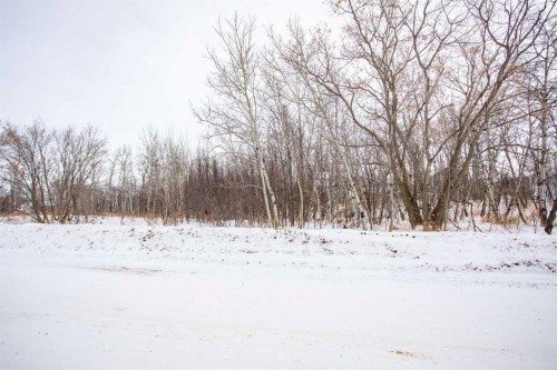 5219 50 Street, Mirror, AB 