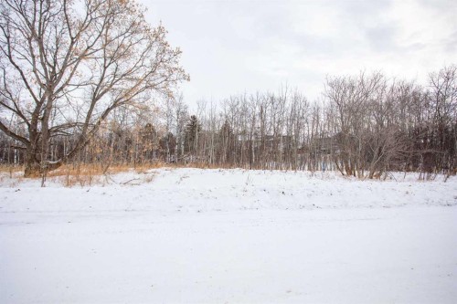 5215 50 Street, Mirror, AB 