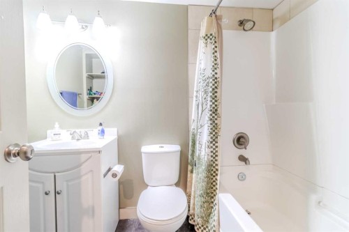 1231 21 Street, Bowden, AB - Indoor Photo Showing Bathroom
