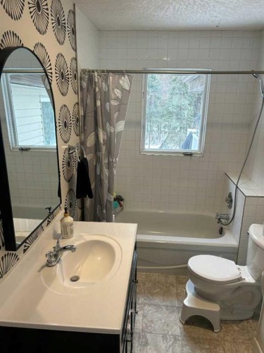 392005 6-5 Range, Rural Clearwater County, AB - Indoor Photo Showing Bathroom