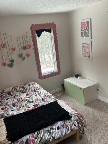 392005 6-5 Range, Rural Clearwater County, AB - Indoor Photo Showing Bedroom
