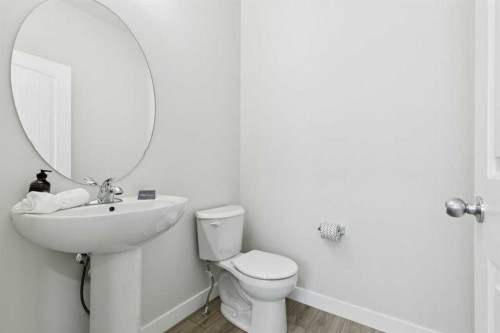 309 Cobblestone Gate Sw, Airdrie, AB - Indoor Photo Showing Bathroom
