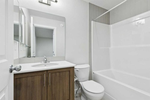 309 Cobblestone Gate Sw, Airdrie, AB - Indoor Photo Showing Bathroom