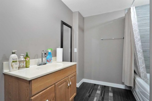 242-27240 Township Road 392, Rural Red Deer County, AB - Indoor Photo Showing Bathroom