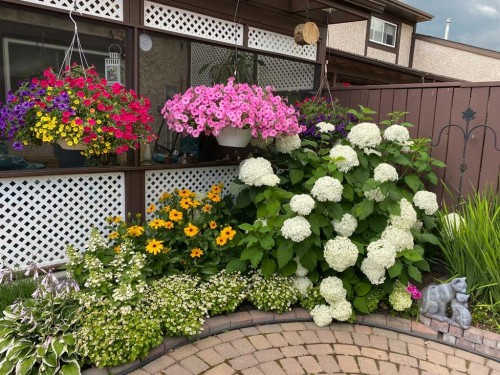 4313 46A Avenue, Red Deer, AB - Outdoor With Deck Patio Veranda