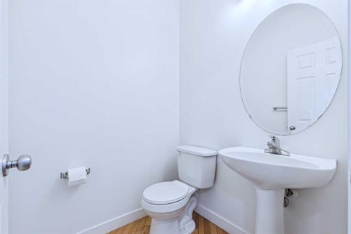 174 Brightonstone Landing Se, Calgary, AB - Indoor Photo Showing Bathroom