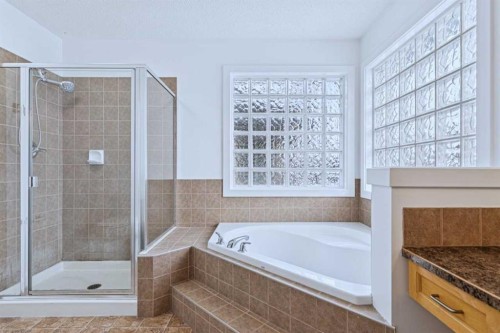 174 Brightonstone Landing Se, Calgary, AB - Indoor Photo Showing Bathroom