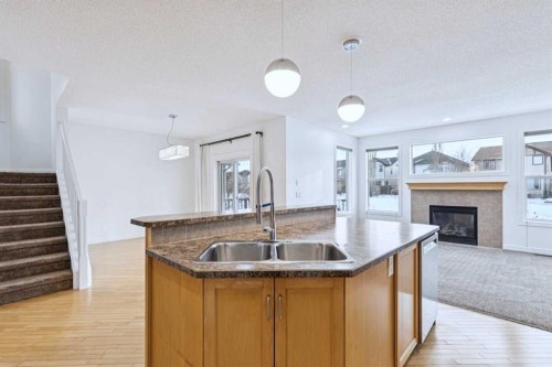 174 Brightonstone Landing Se, Calgary, AB - Indoor Photo Showing Kitchen With Fireplace With Double Sink