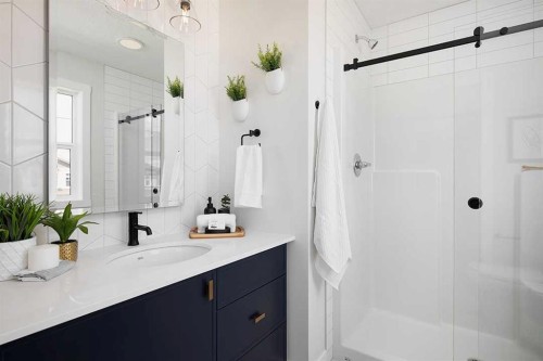 256 Verbena Common Sw, Calgary, AB - Indoor Photo Showing Bathroom