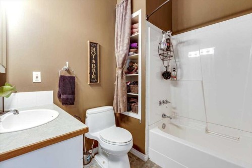 217-36078 Range Road 245 A, Rural Red Deer County, AB - Indoor Photo Showing Bathroom