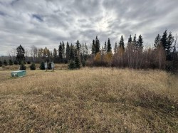 9-15015 Township Road 424 Township  Rural Ponoka County, AB T0B 0H0