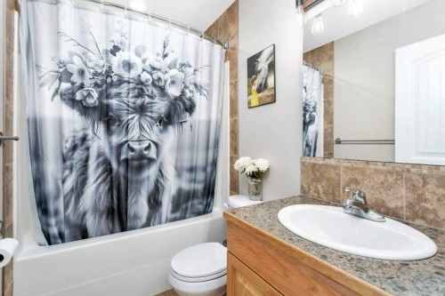 4912 46A Street, Clive, AB - Indoor Photo Showing Bathroom