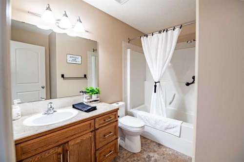 24 Argent Close, Red Deer, AB - Indoor Photo Showing Bathroom