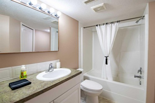 24 Argent Close, Red Deer, AB - Indoor Photo Showing Bathroom