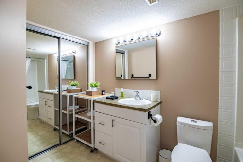 24 Argent Close, Red Deer, AB - Indoor Photo Showing Bathroom