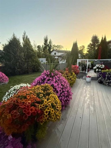 6313 Erickson Drive, Camrose, AB - Outdoor With Deck Patio Veranda