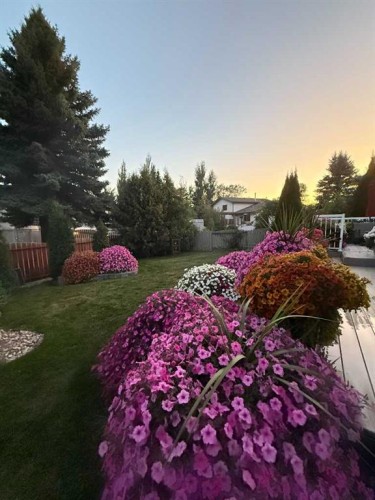 6313 Erickson Drive, Camrose, AB - Outdoor