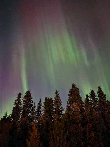 42 Grove Close, Red Deer, AB - Outdoor With View