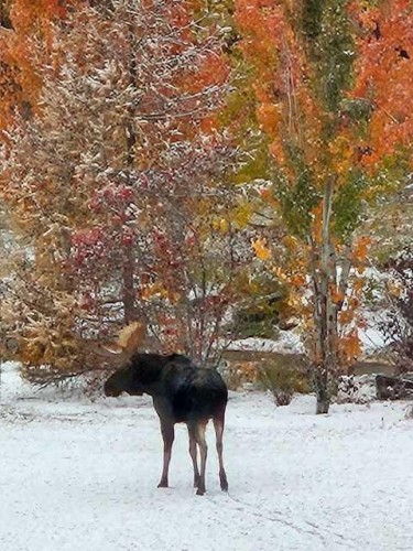 42 Grove Close, Red Deer, AB - Outdoor