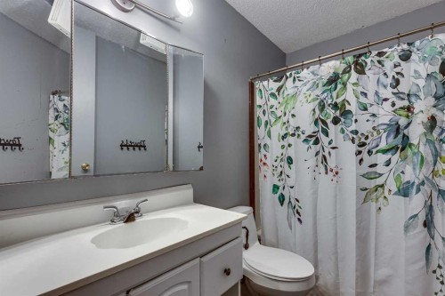 3 Armstrong Close, Red Deer, AB - Indoor Photo Showing Bathroom