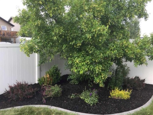 8 Van Dorp Street, Red Deer, AB - Outdoor