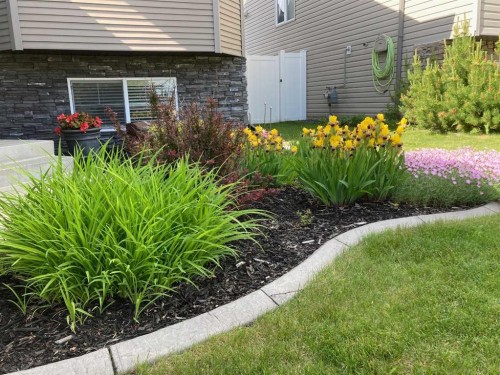 8 Van Dorp Street, Red Deer, AB - Outdoor