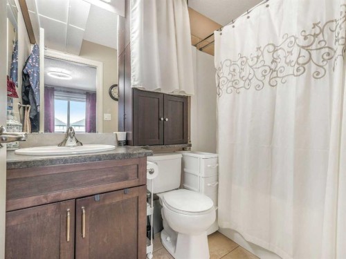 234 Robinson Drive, Leduc, AB - Indoor Photo Showing Bathroom