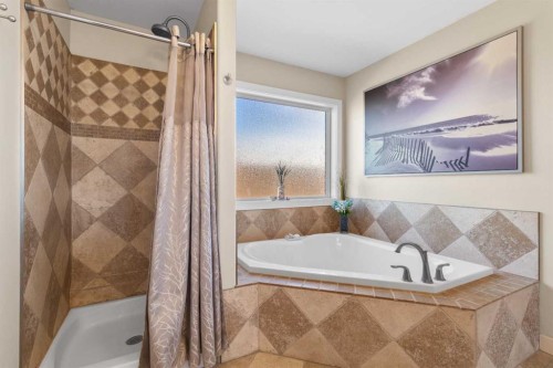 7008 Henners Gate, Lacombe, AB - Indoor Photo Showing Bathroom